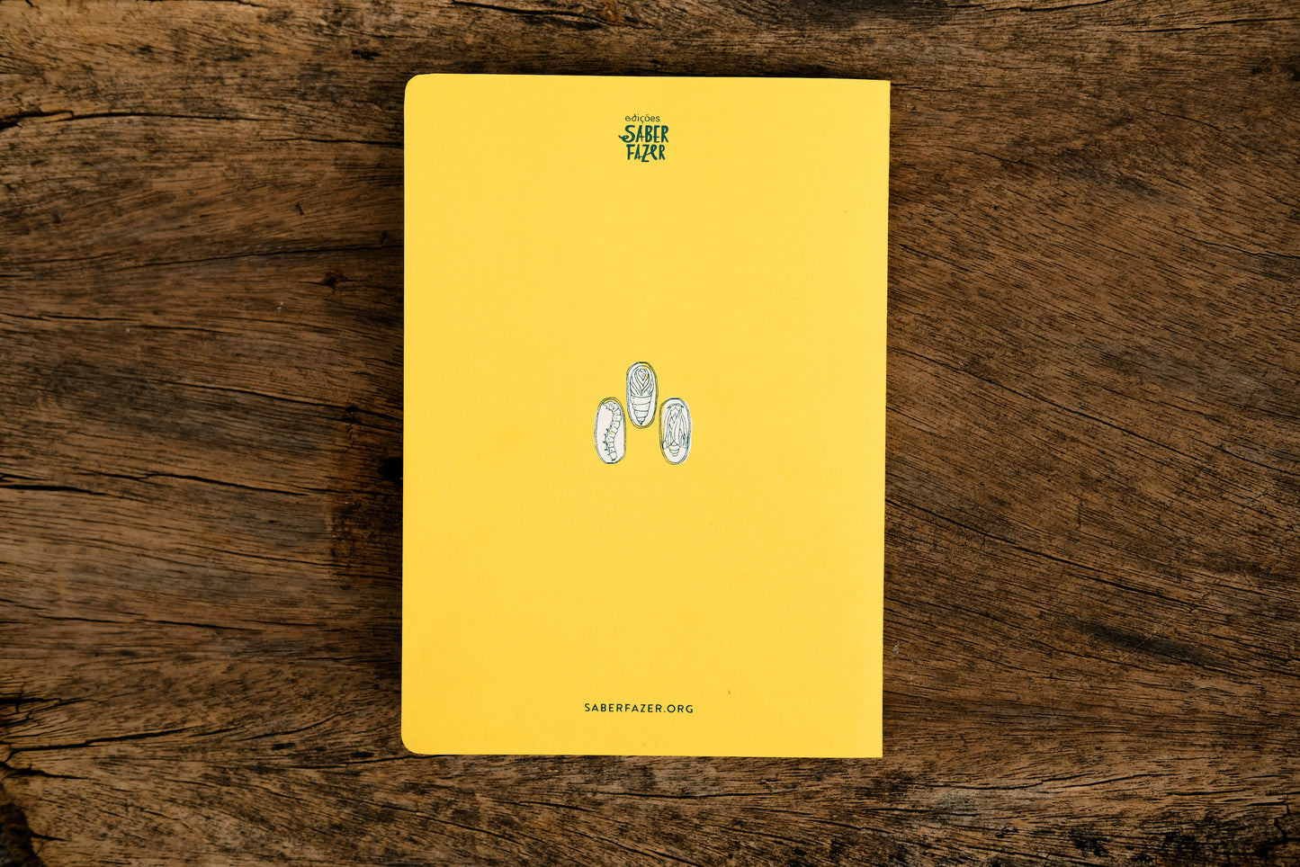 Livro "A Seda - da Lagarta ao Fio"