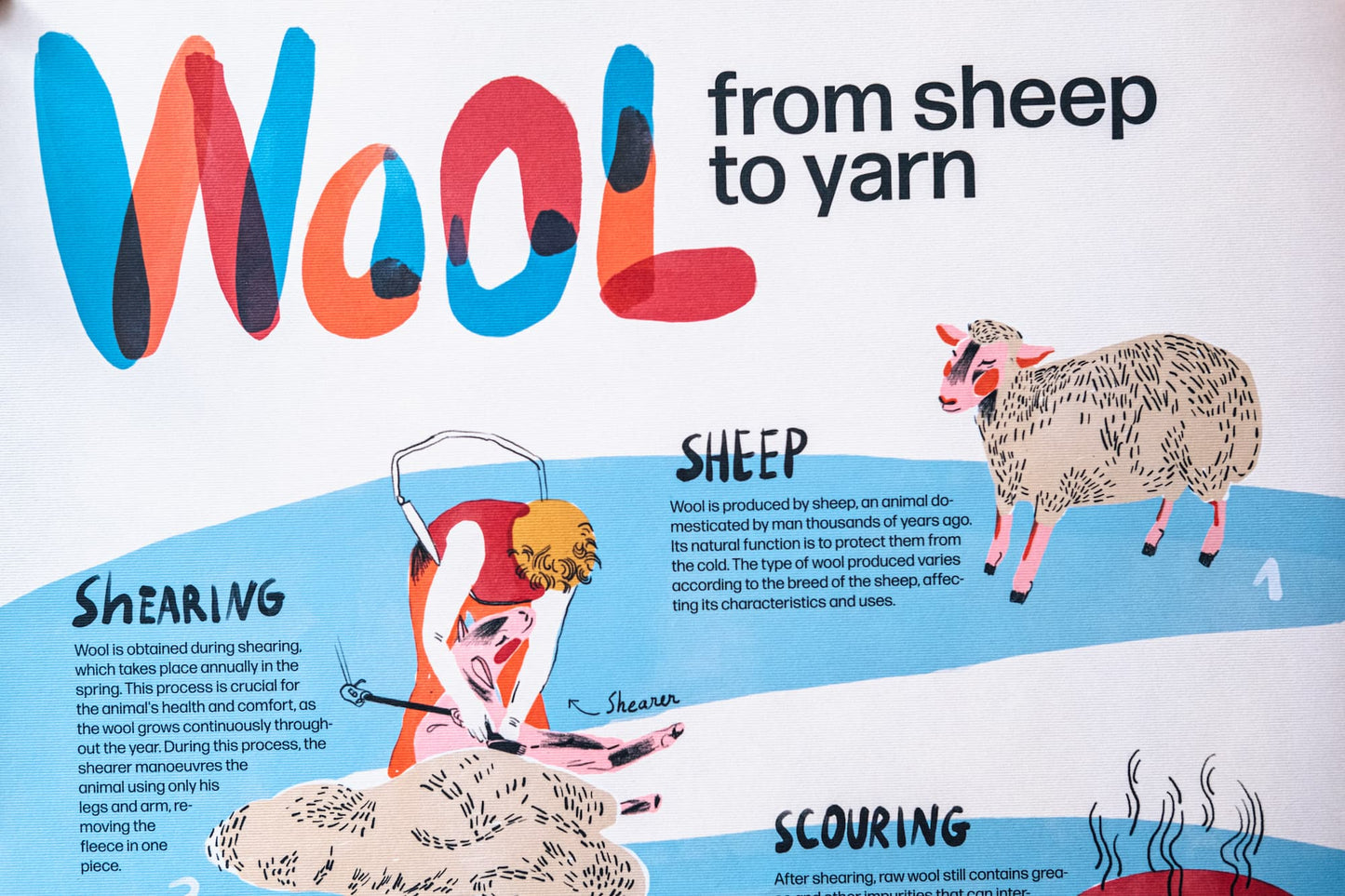 Poster "Lã, da ovelha ao fio"