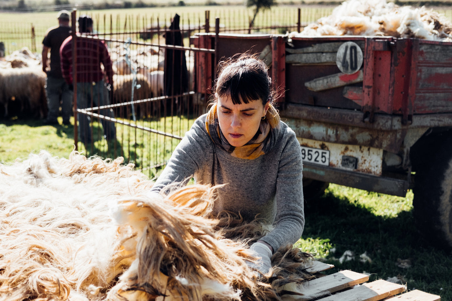 Velo Lã Churra Mondegueira "Marialveira"