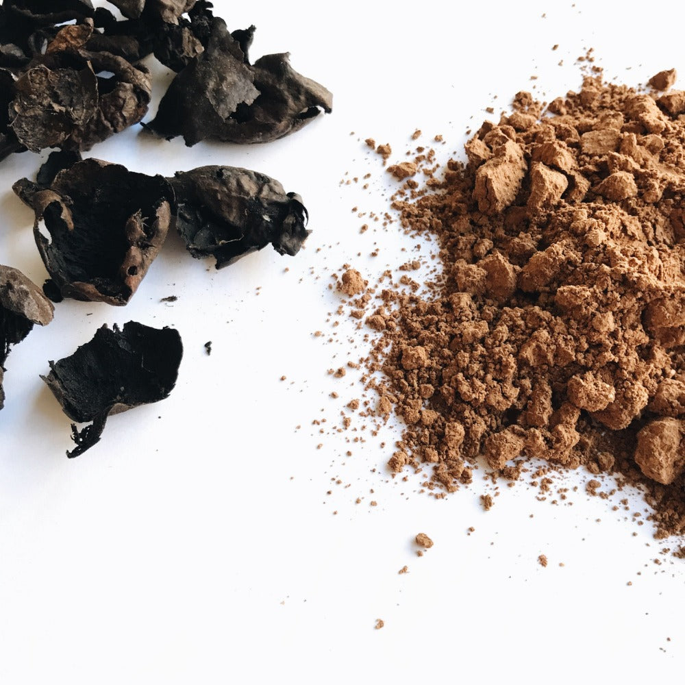 Cápsulas de Nogueira