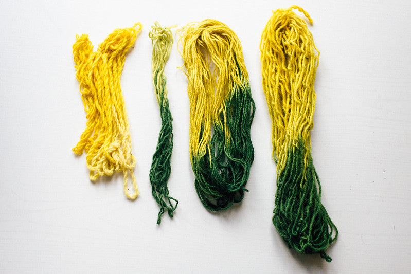 Sementes de Lírio-dos-tintureiros (Reseda luteola)