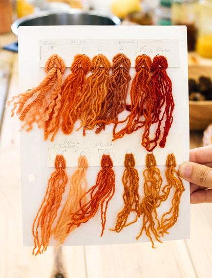 Extracto de Ruiva-dos-Tintureiros (Alizarina)