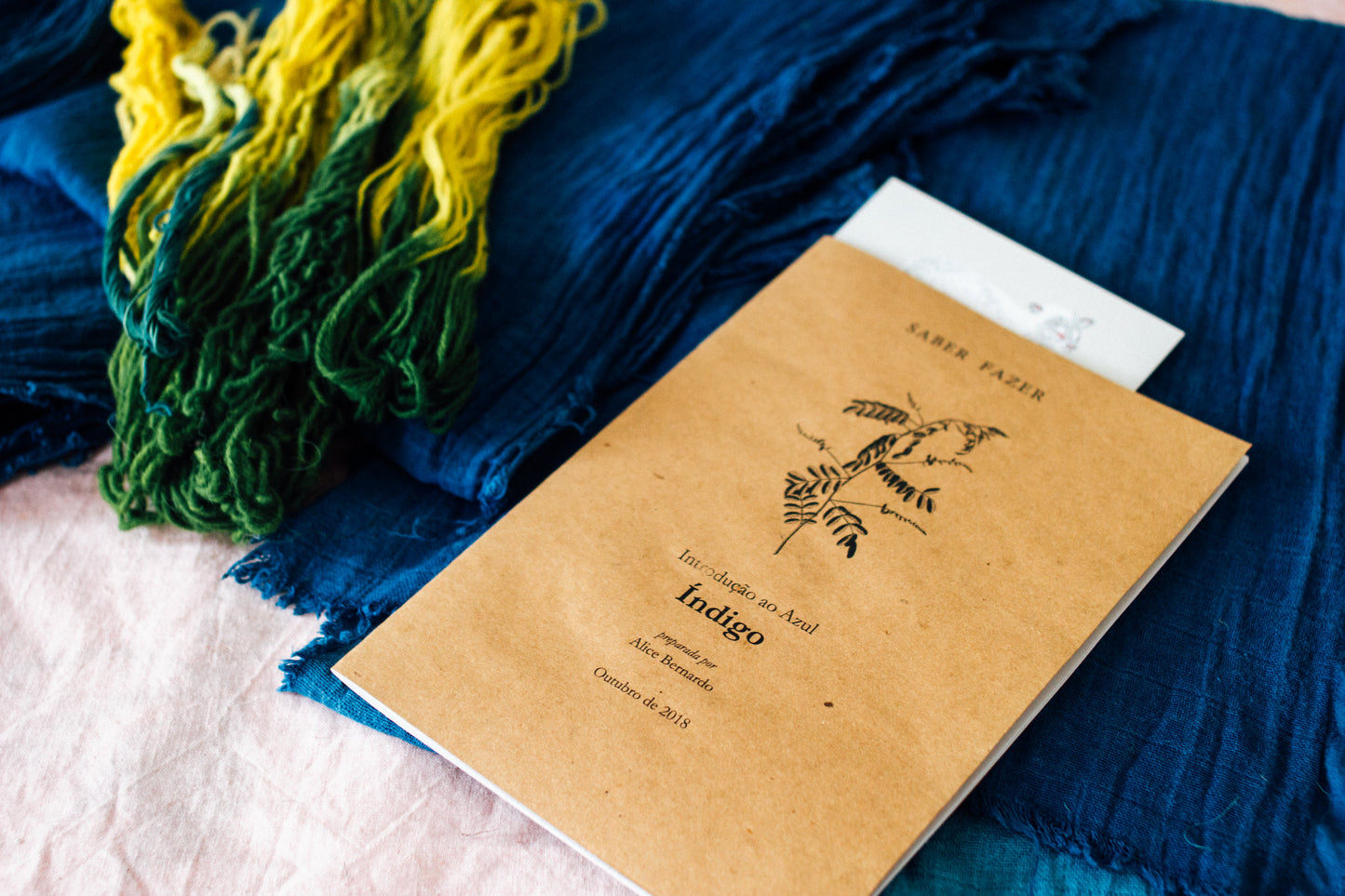 Curso de Tingimento orgânico com Índigo - 1 de Novembro de 2025