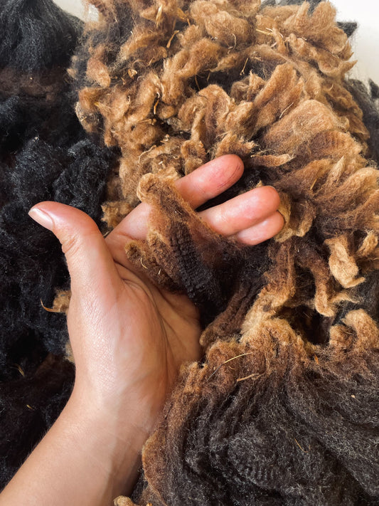 Black wool fleece from Bordaleira Entre-Douro-e-Minho