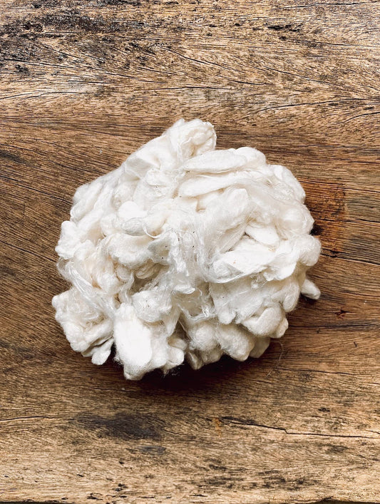 Degummed silk fiber