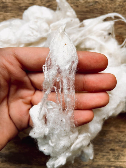 Degummed silk fiber