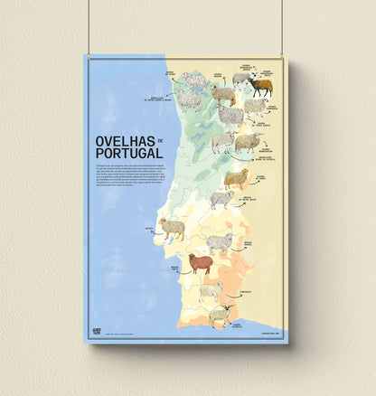 Poster "Ovelhas de Portugal"