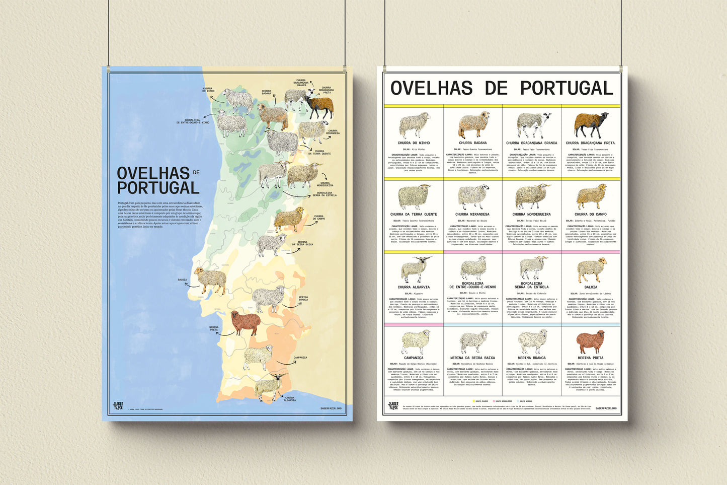 Poster "Ovelhas de Portugal"