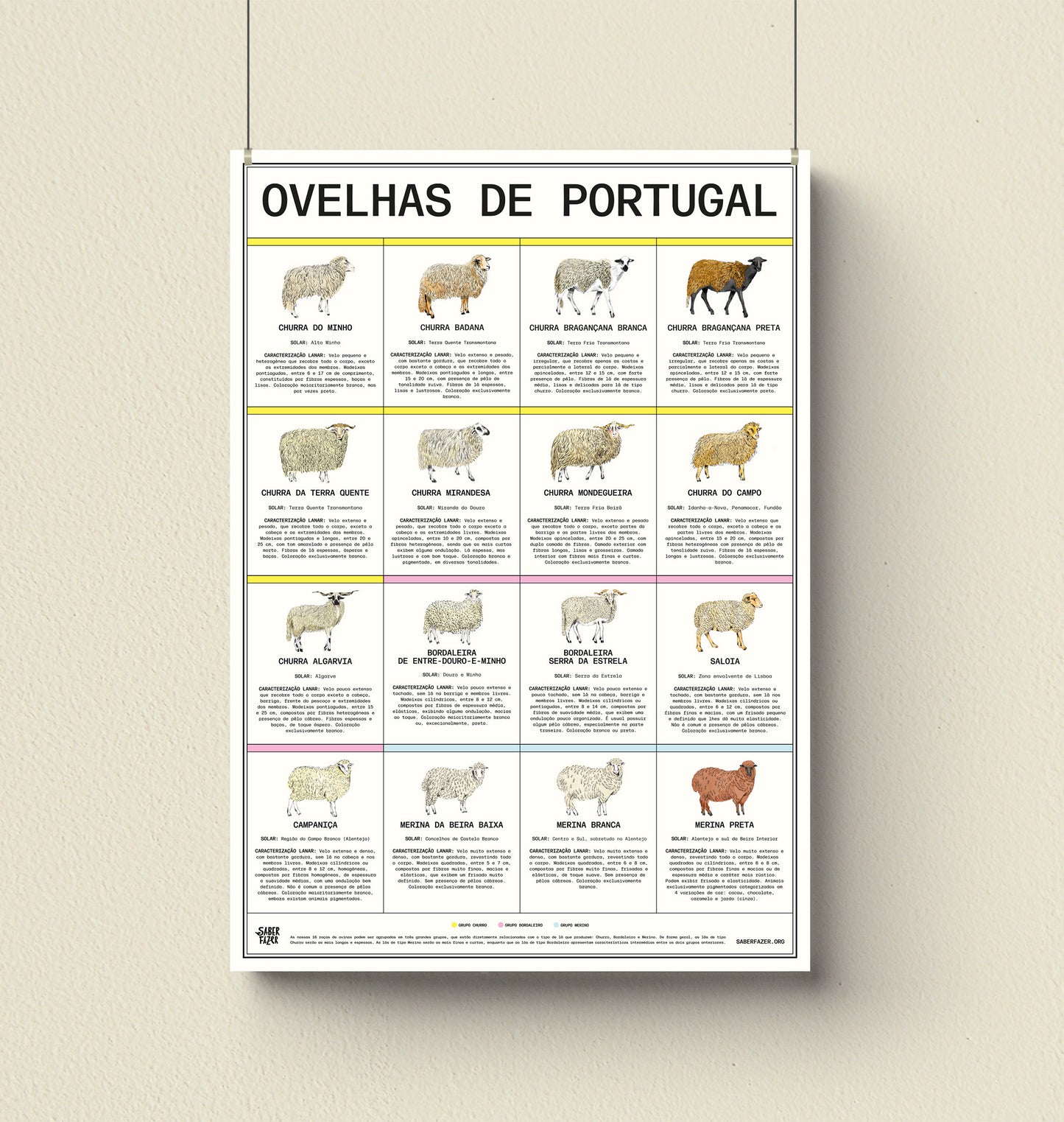 Poster "Ovelhas de Portugal"