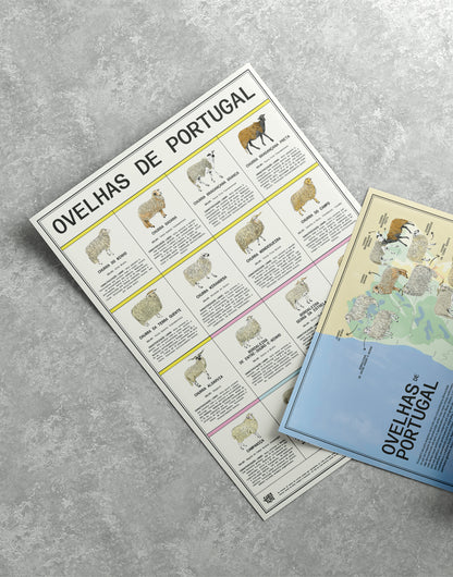 Poster "Ovelhas de Portugal"