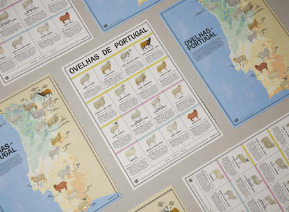 Poster "Ovelhas de Portugal"