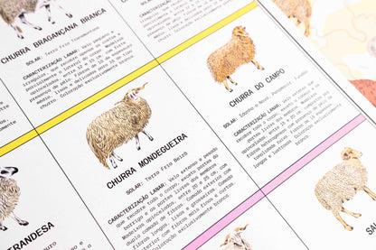 Poster "Ovelhas de Portugal"