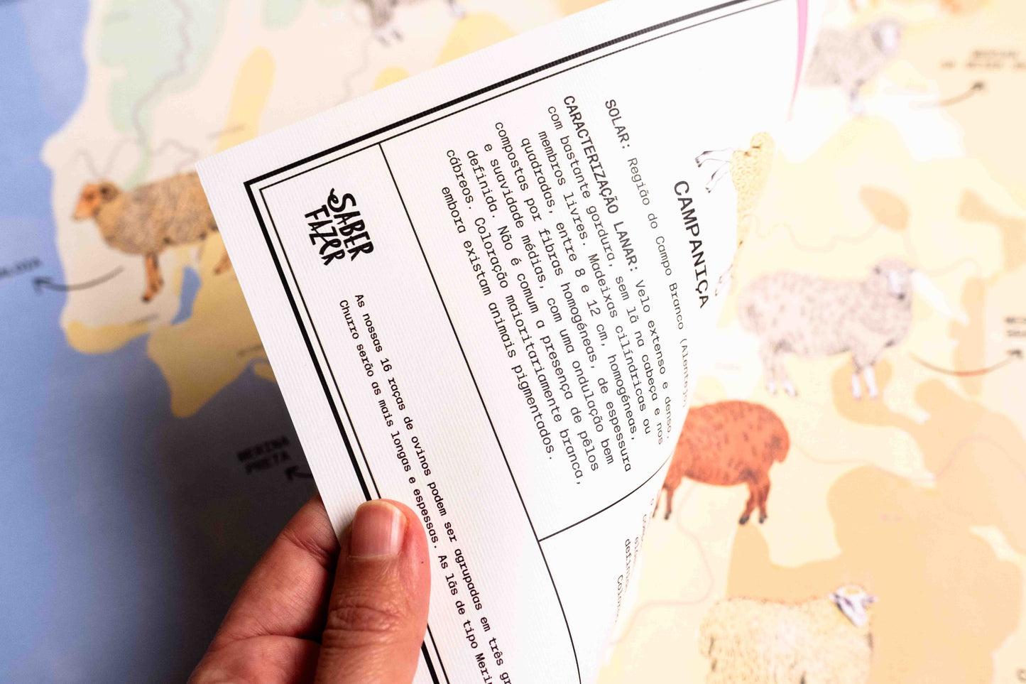 Poster "Ovelhas de Portugal"