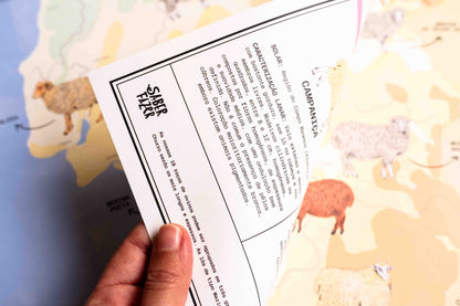 Poster "Ovelhas de Portugal"