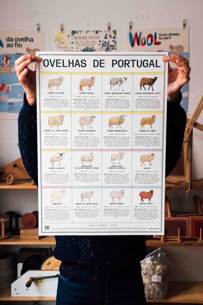 Poster "Ovelhas de Portugal"