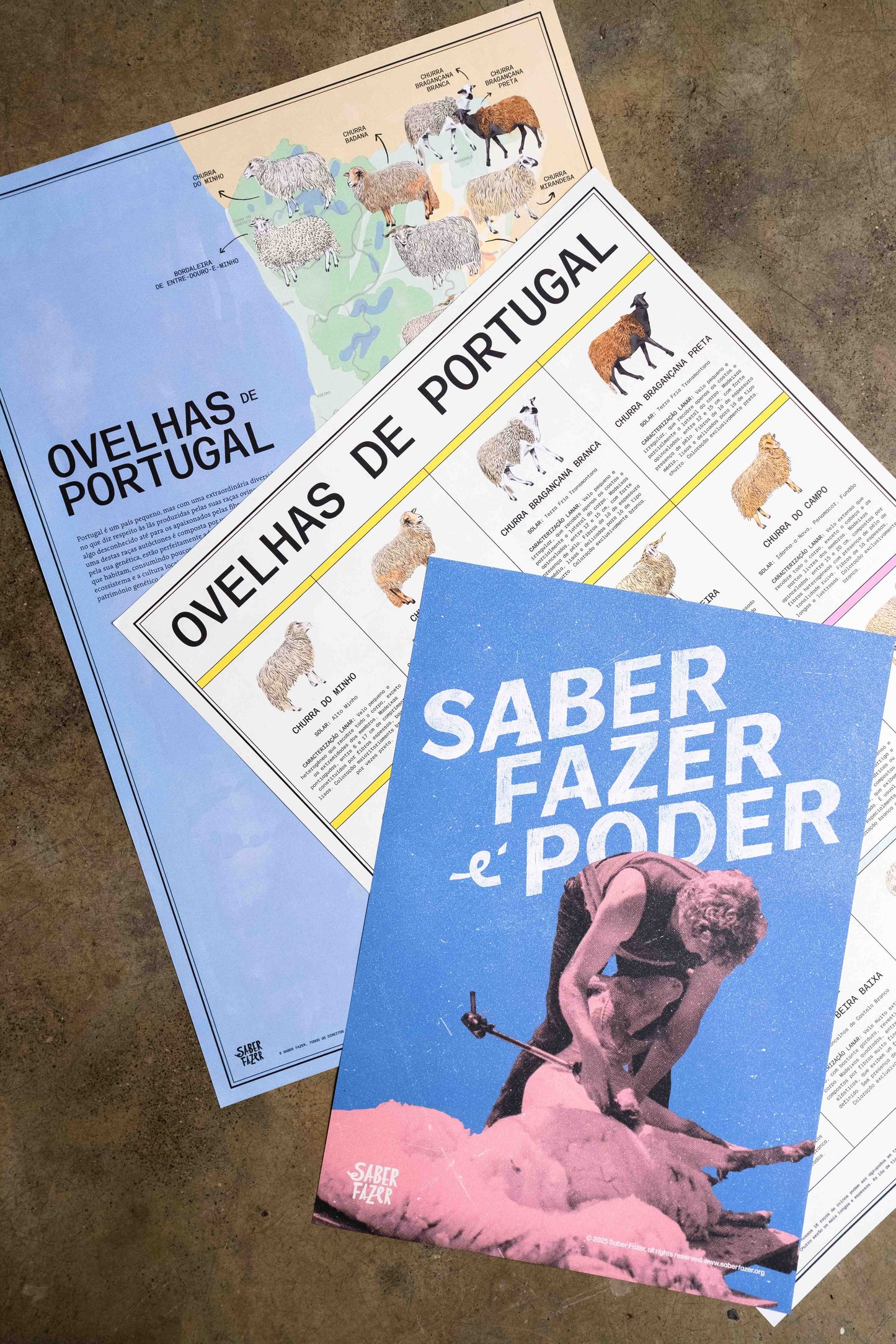 Poster "Ovelhas de Portugal"