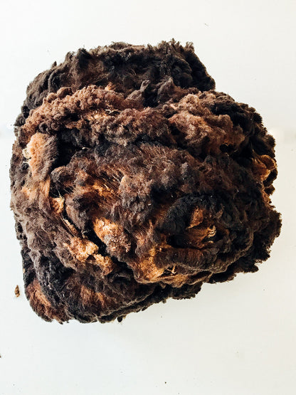 Black wool fleece from Merino