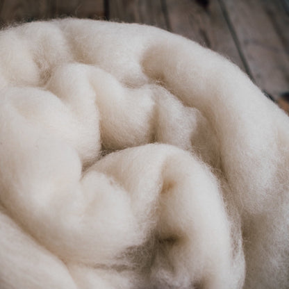 Carded wool for felting or batting - Natural White