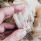 Merino da Beira Baixa Wool Fleece