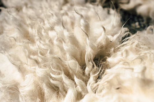 Churra Mirandesa Wool Fleece