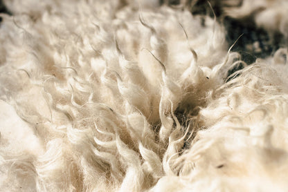 Velo branco de lã Churra Mirandesa (em bruto)