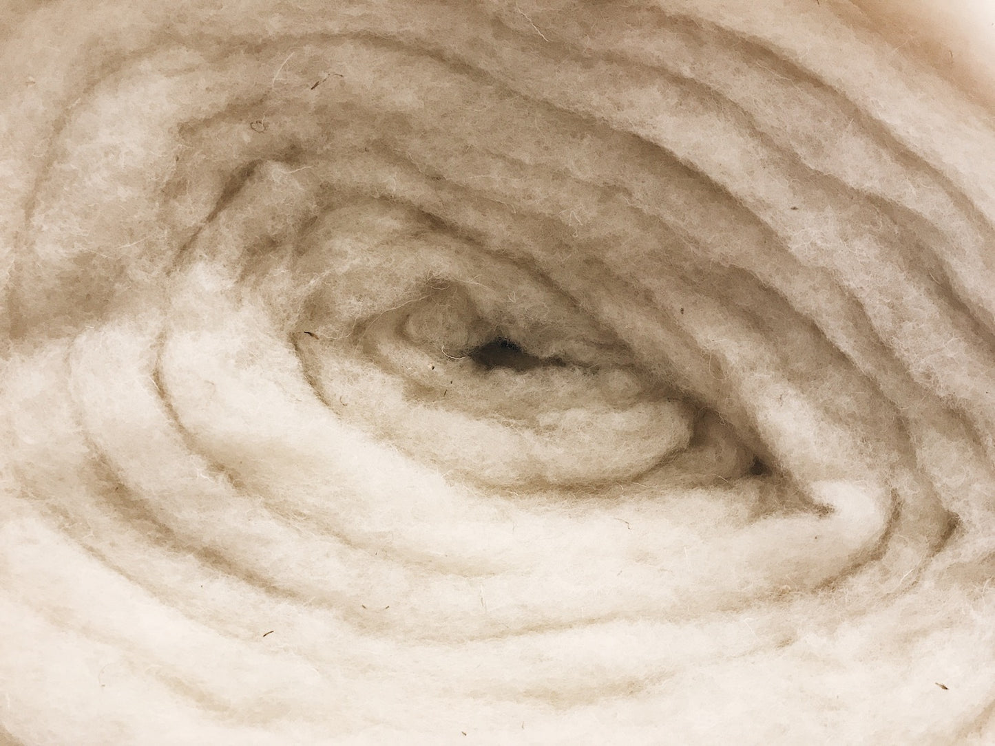 Carded wool for felting or batting - Natural White