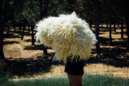 Curso intensivo de Feltragem