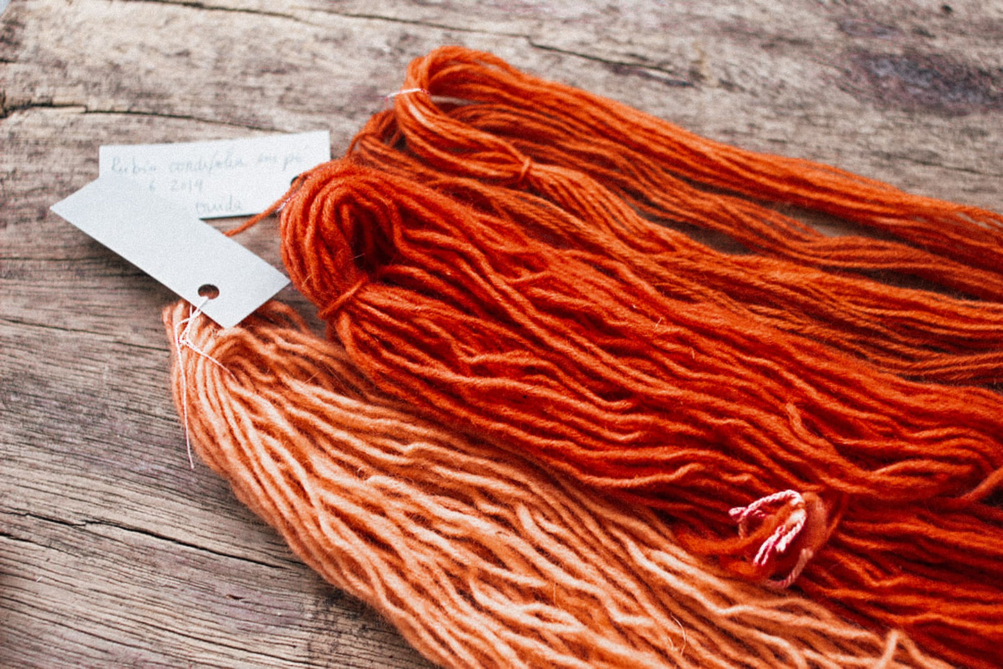 Curso online - Como preparar, mordentar e finalizar fibras têxteis para a Tinturaria Natural